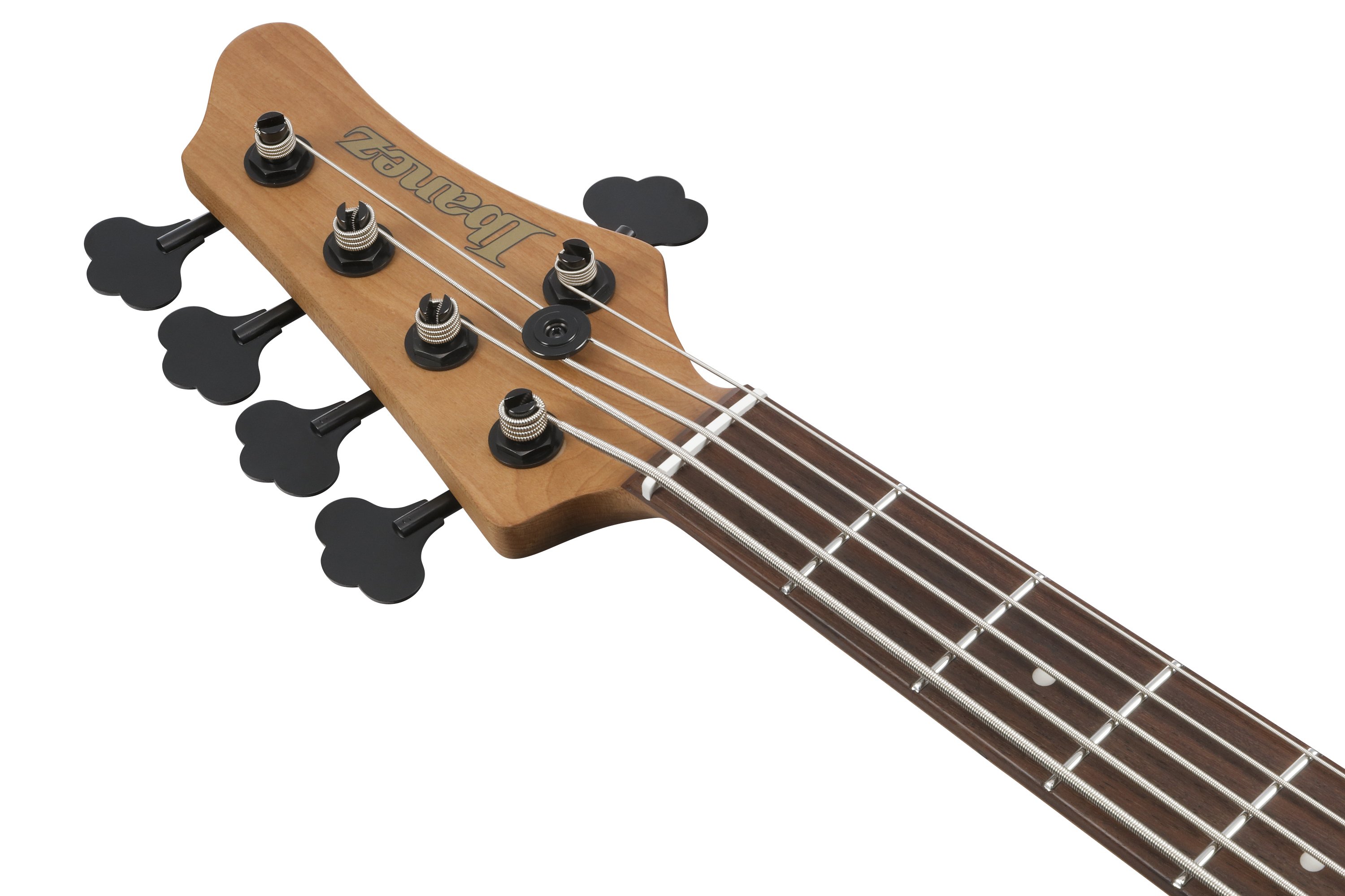 MDM1605-DTW  5-String E-Bass Mode Deep Twilight 